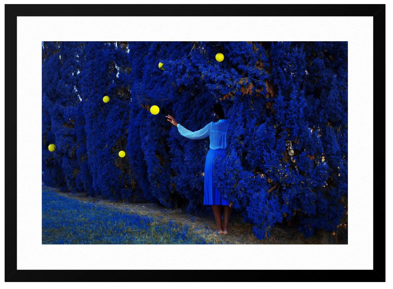 Wishful Star – Wunschstern im Angebot 1