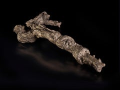 Large sized vine by Catherine Clancy - 21st Century bronze sculpture