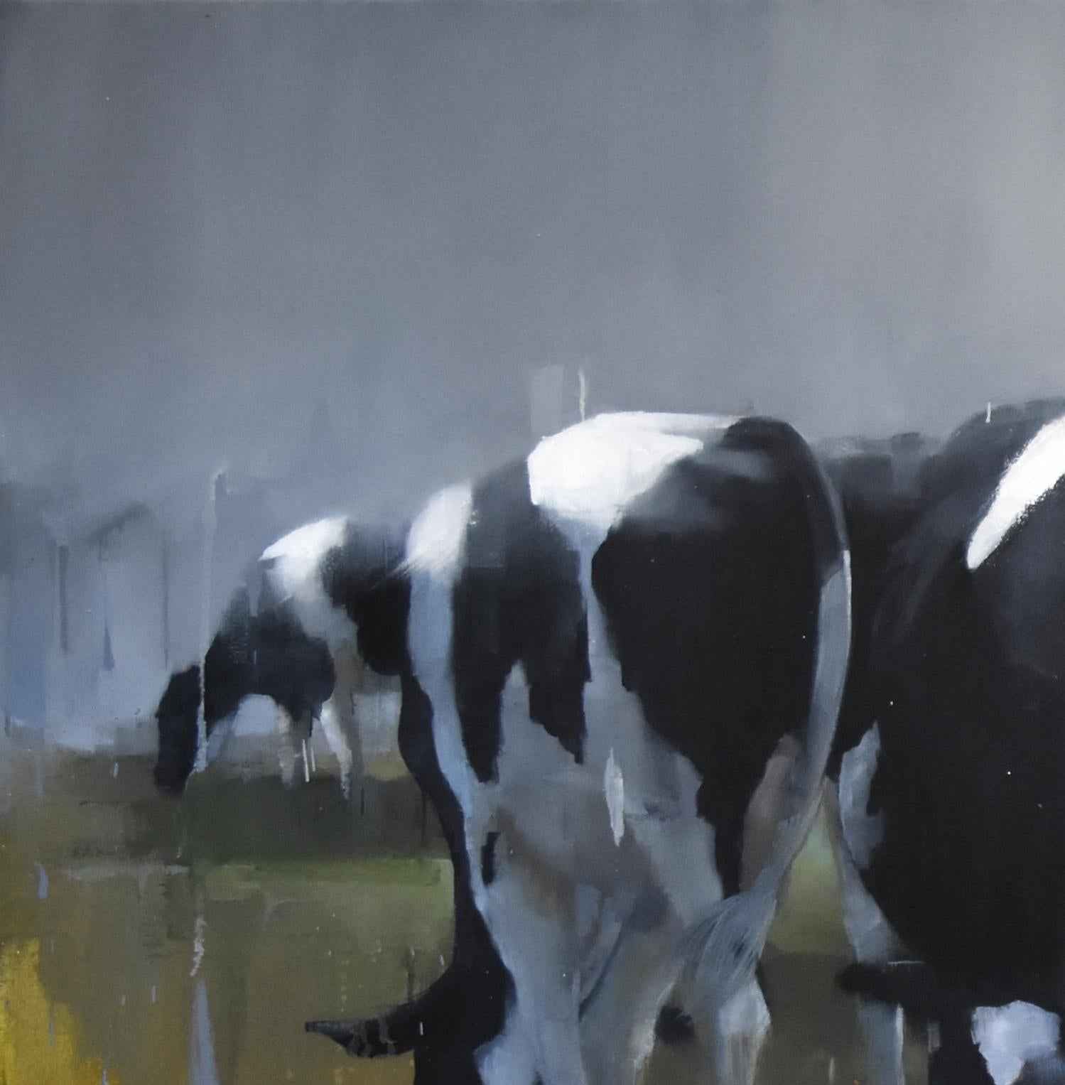 Cows III by Andrew Hunt, Figurative Realism, oil on canvas For Sale 1