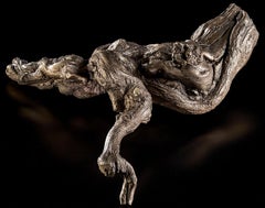 Small sized vine by Catherine Clancy - 21st Century bronze sculpture
