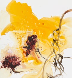 Yarrow by Ilana Manolson, acrylic on yupo paper on board - 21st Century