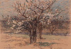 Orchard in Blossom, Landscape by Walter Griffin (1876-1937, American)