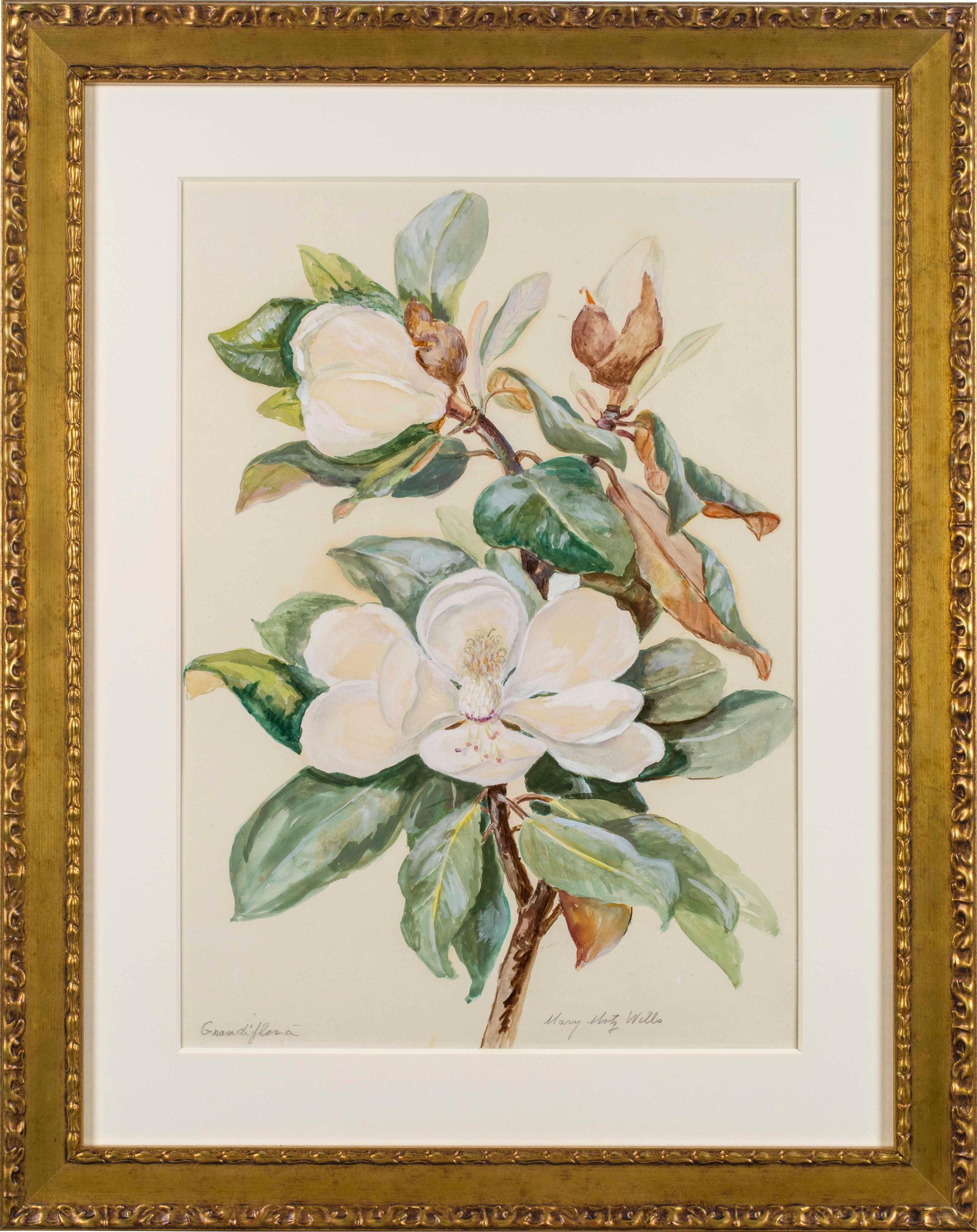 Grandi Flora, Magnolia Flower by Mary Motz Wills (1875-1961, American) 

Mary Motz Wills (1875-1961)
Grandi Flora, Magnolia Flower
Watercolor on paper
21 1/2 x 15 inches
Signed lower right

