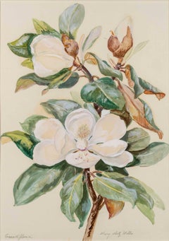 Grandi Flora, Magnolia Flower by Mary Motz Wills (1875-1961, American) 