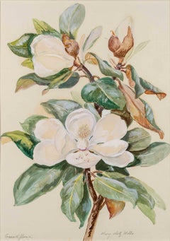 Grandi Flora, Magnolia Flower by Mary Motz Wills (1875-1961, American)