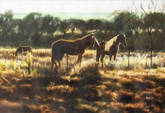 Pferde in einer Pasture