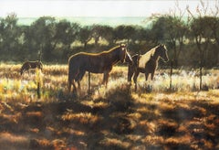 Horses in a Pasture