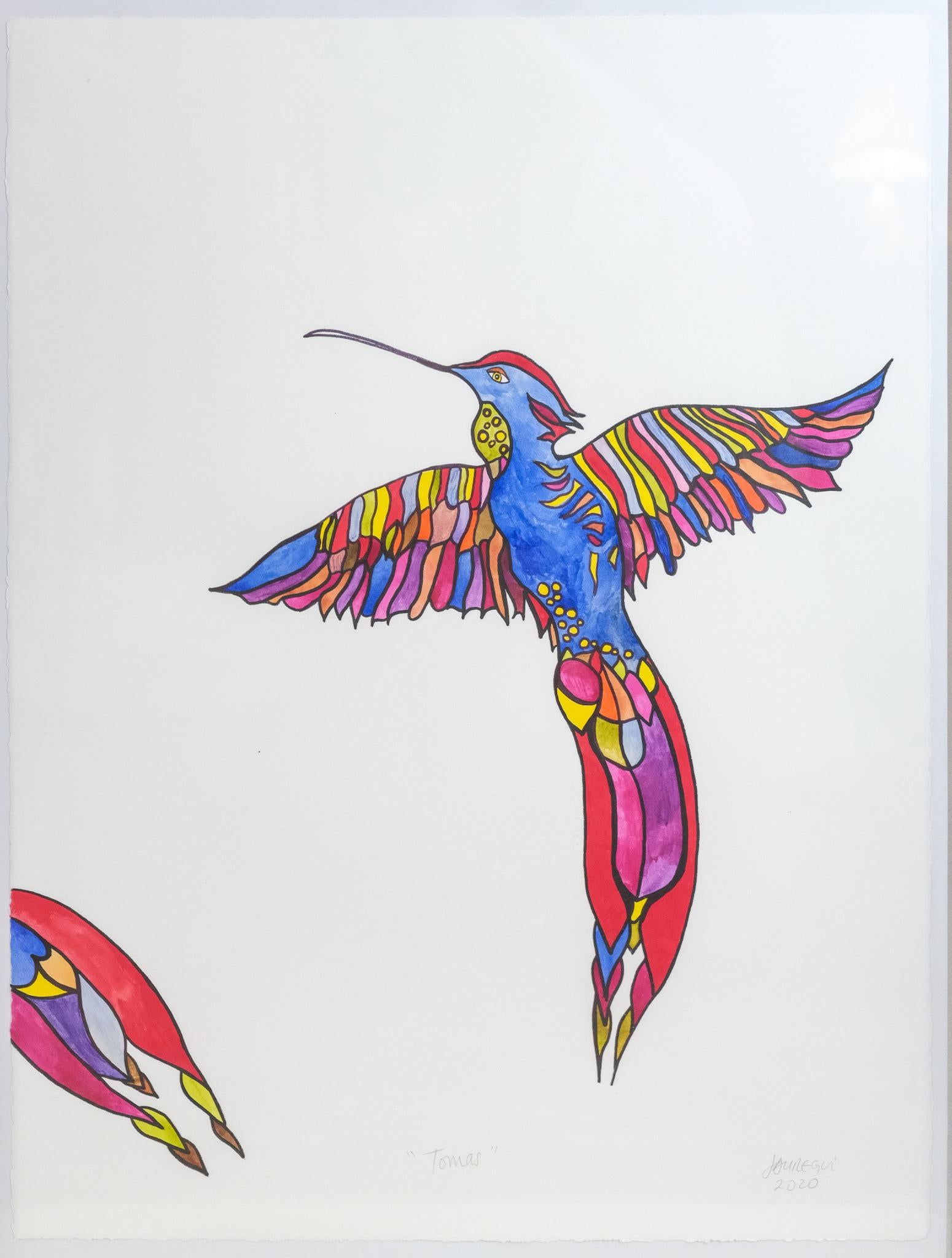 Animal Art Paul Jauregui - Colibri "Tomas" - Dessin à l'encre colorée d'un oiseau animal de la forêt tropicale équatorienne