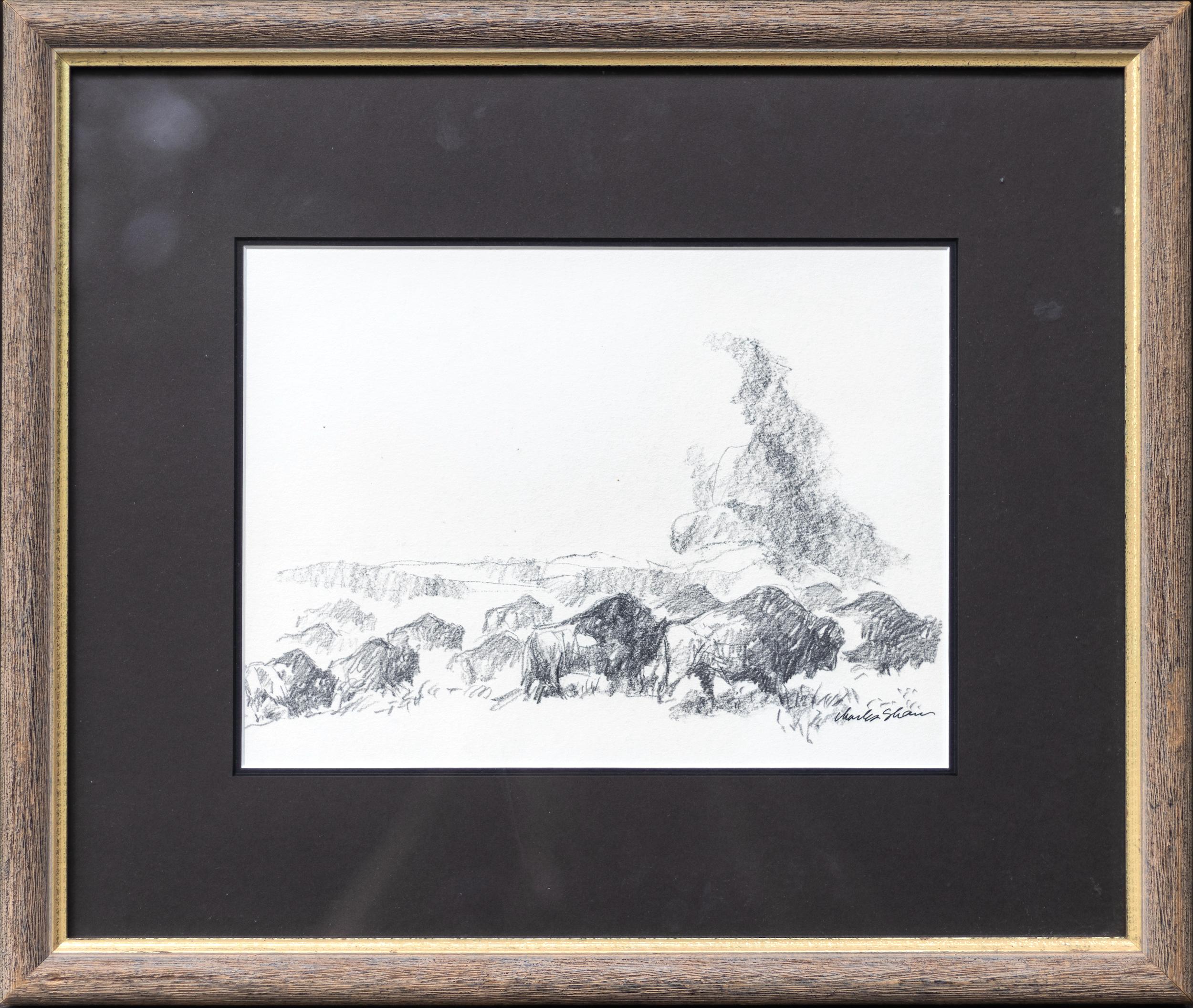 Büffel – Art von Charles William Shaw