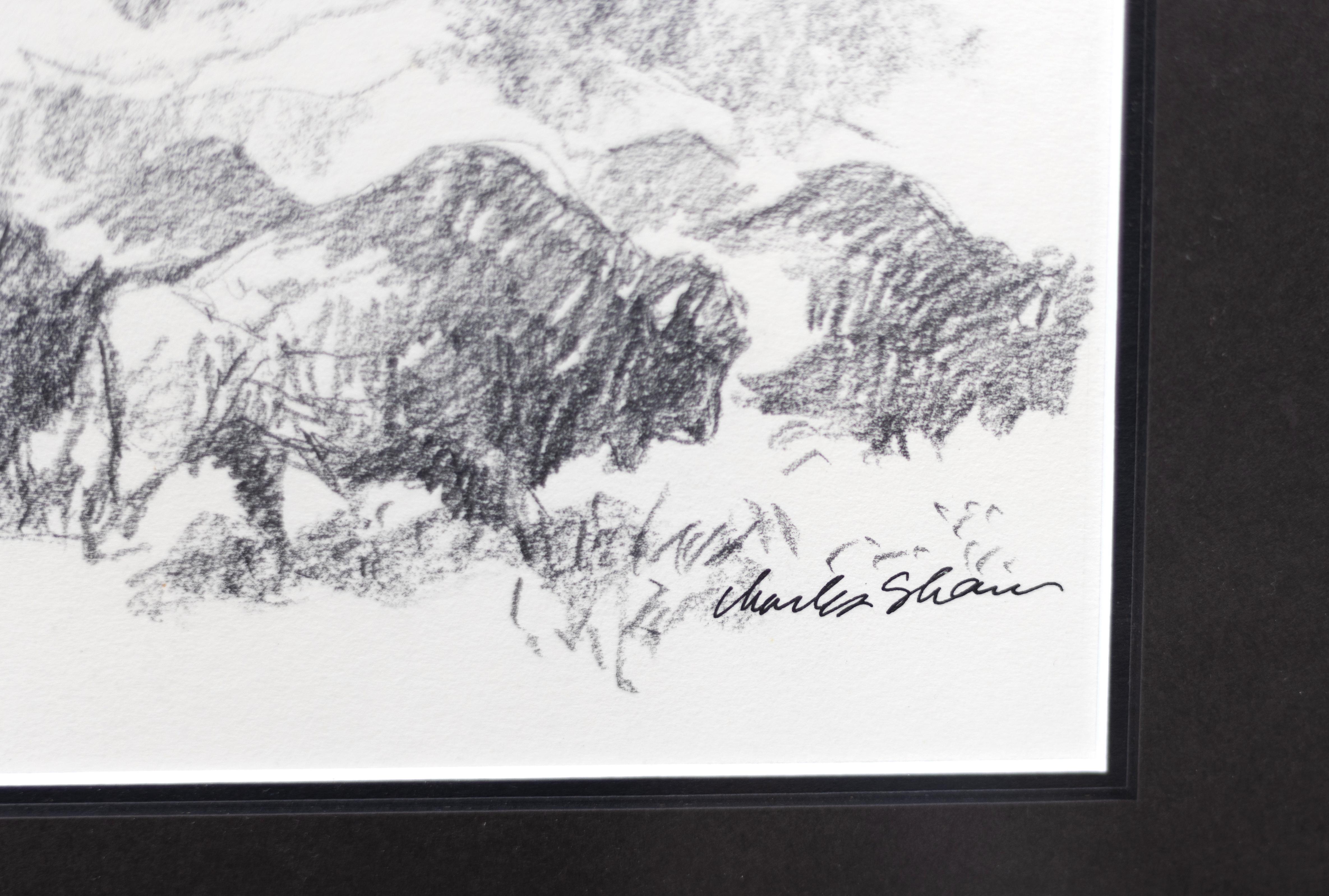 Buffalo - Gray Animal Art by Charles William Shaw