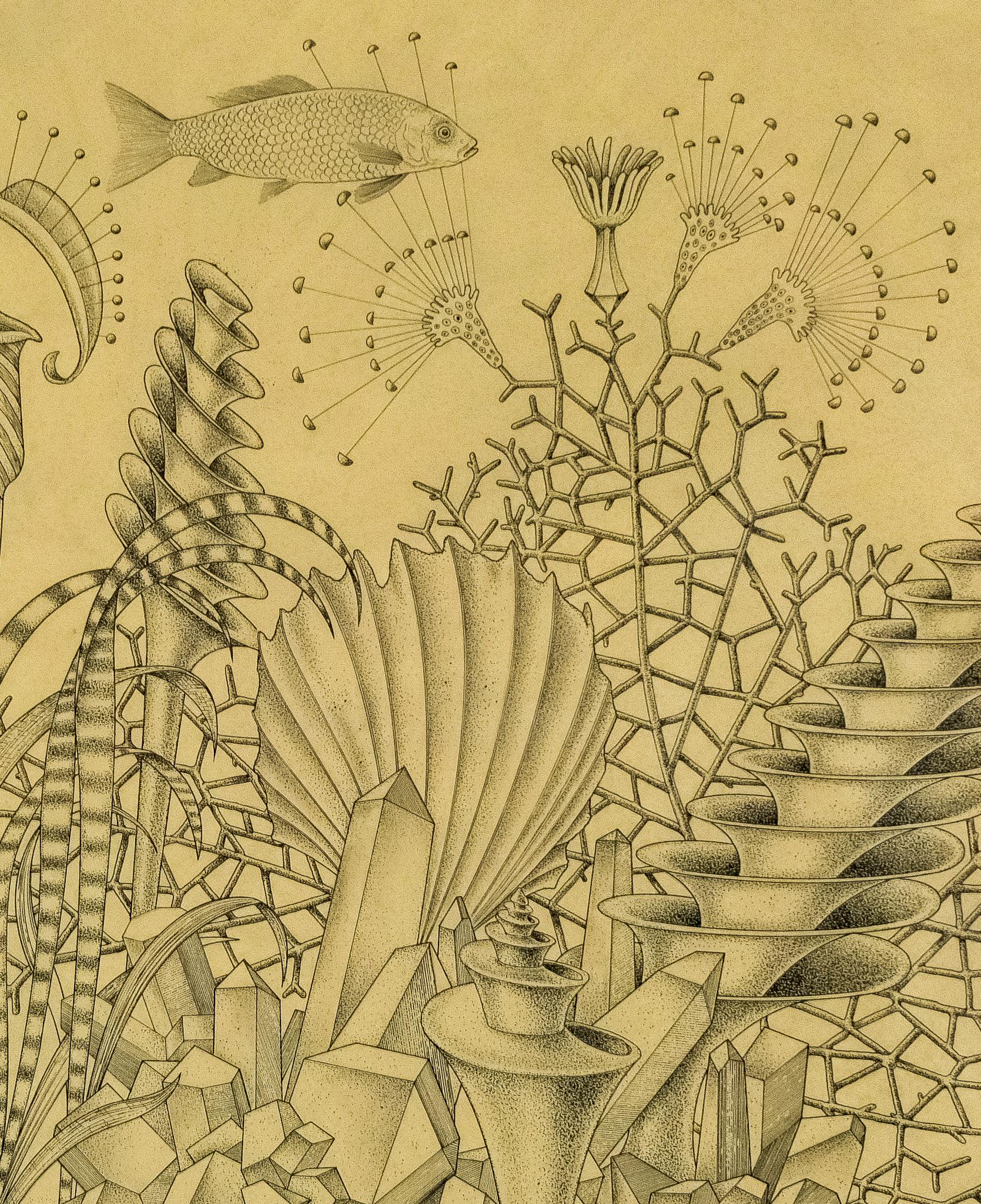 14 x 14 pollici, circolare
Disegno a inchiostro su carta
Opacizzato e incorniciato: 24 x 24 pollici.
Firmato, in basso a destra

Una scena mistica e onirica di un paese delle meraviglie sott'acqua.  Questo preciso e delicato disegno a inchiostro