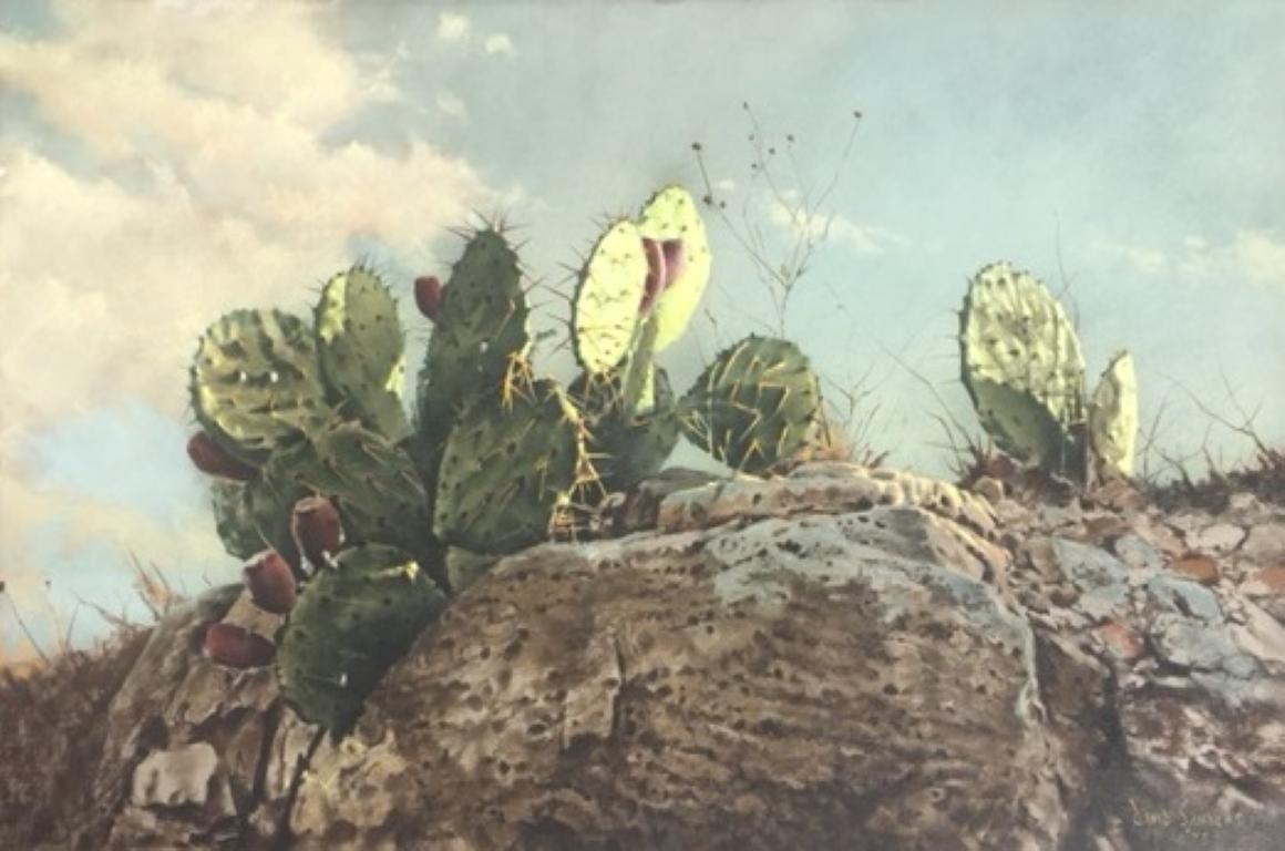 David Sanders Landscape Art - Cactus