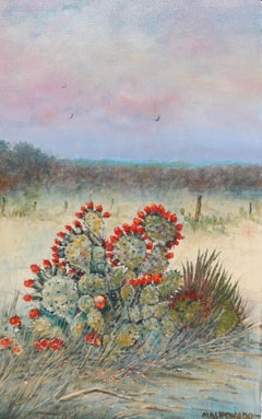 Texas Blooming Cactus