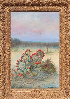 Texas Blooming Cactus