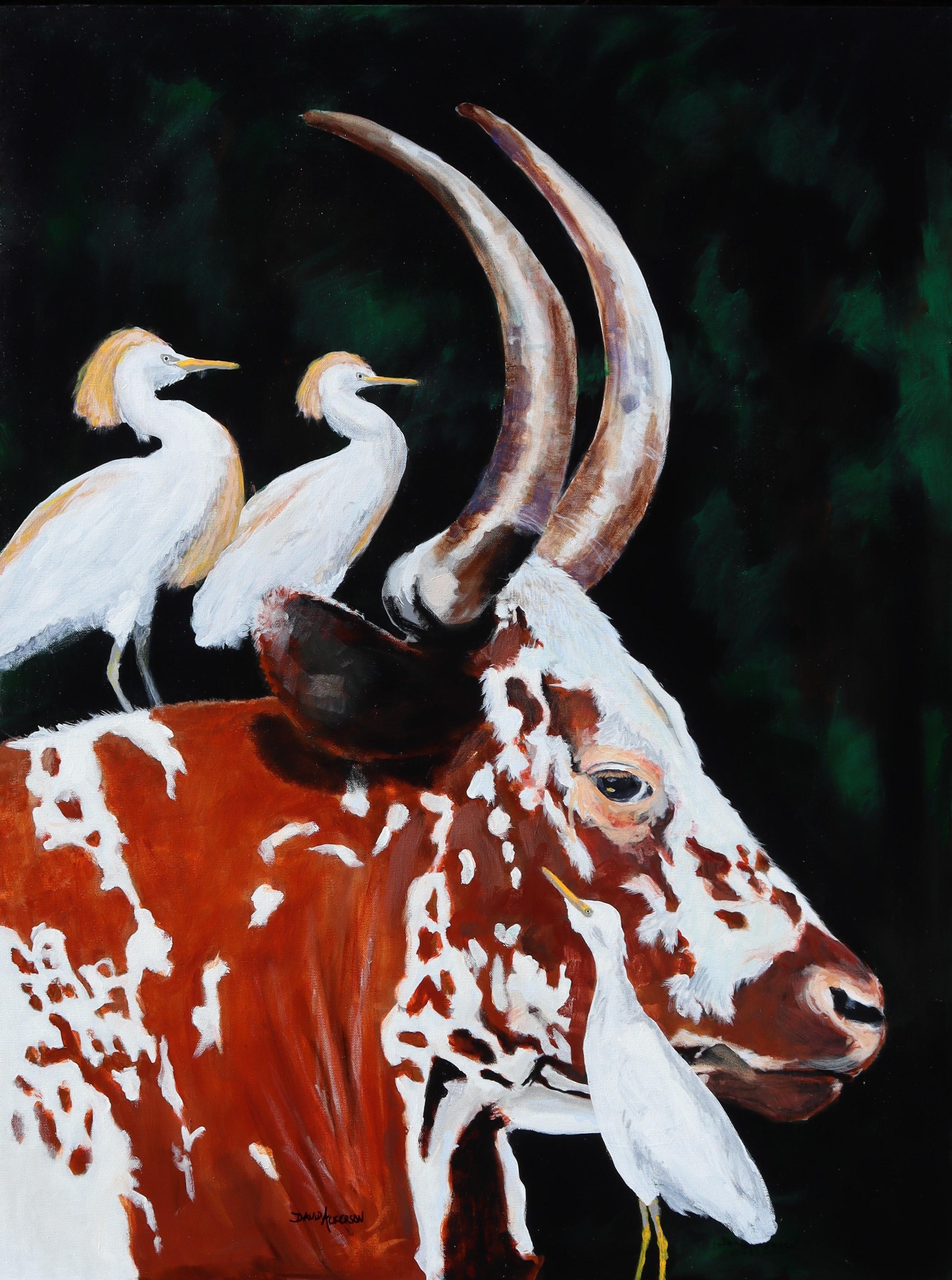 David Ackerson Animal Painting - Big Tex & His Three Egrets