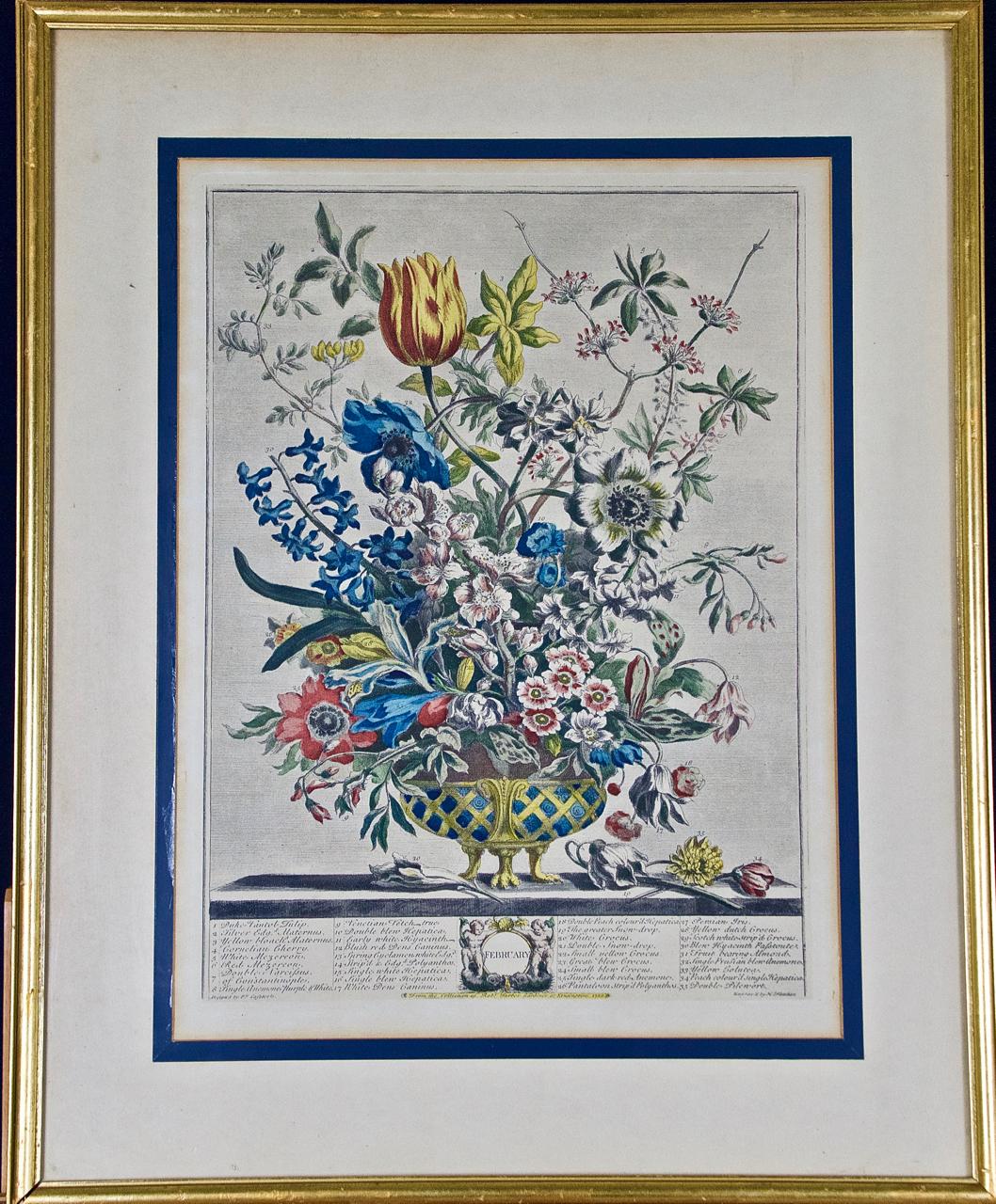 Cette gravure encadrée, coloriée à la main, intitulée "February Bouquet" est tirée de "The Twelve Months of Flowers" de Henry Furber, publié à Londres en 1730 par Robert Sayer et John King. Chacune des douze gravures du livre, coloriées à la main, a