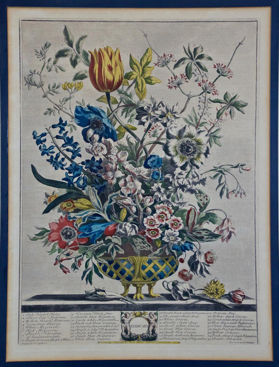 robert furber botanical prints