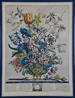 "February Bouquet" from 'The Twelve Months of Flowers' series by Robert Furber