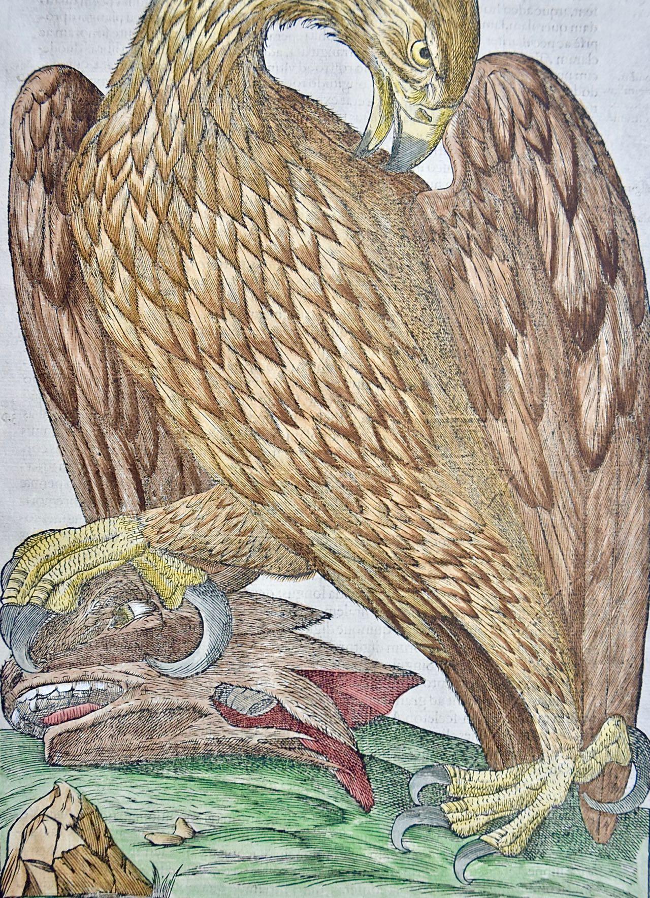 eagle slate pencil