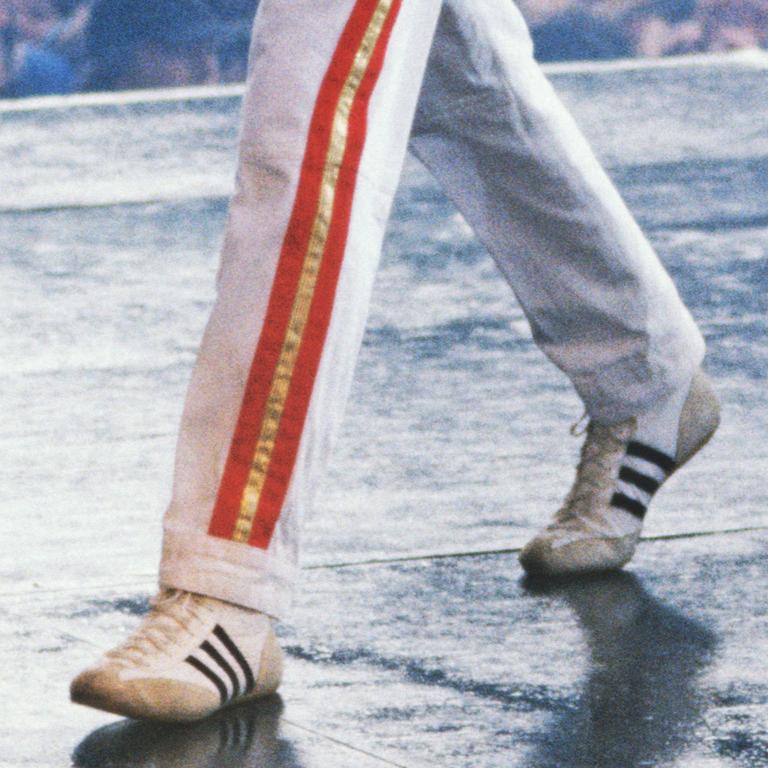 Freddie Mercury, Queen in Concert, Magic Tour, Slane Castle, County Meath, 1986 - Other Art Style Photograph by Richard Young