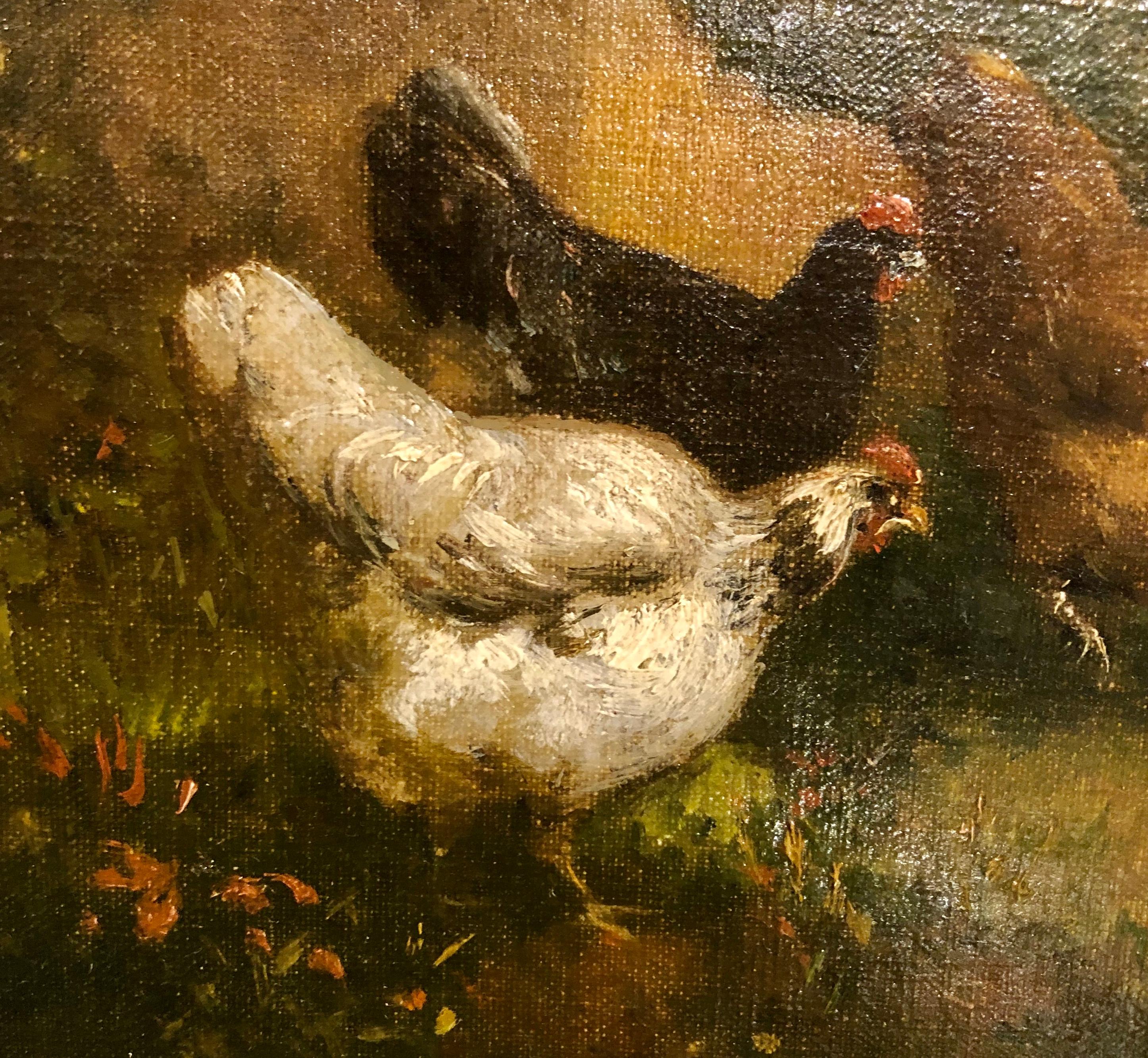 Pair Of Chickens In Landscape 5