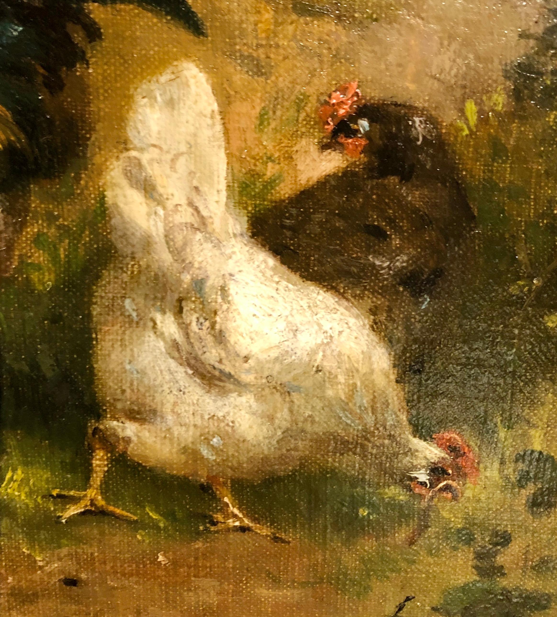 Pair Of Chickens In Landscape 7