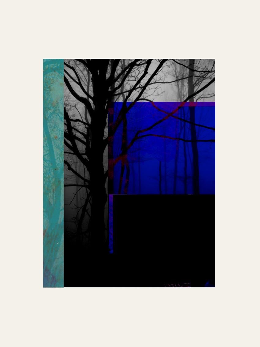 Francisco Nicolás Abstract Print - Forest XX - Contemporary, Abstract, Minimalism, Modern, Pop art, Surrealist