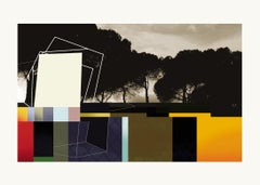 Abstract Prints and Multiples