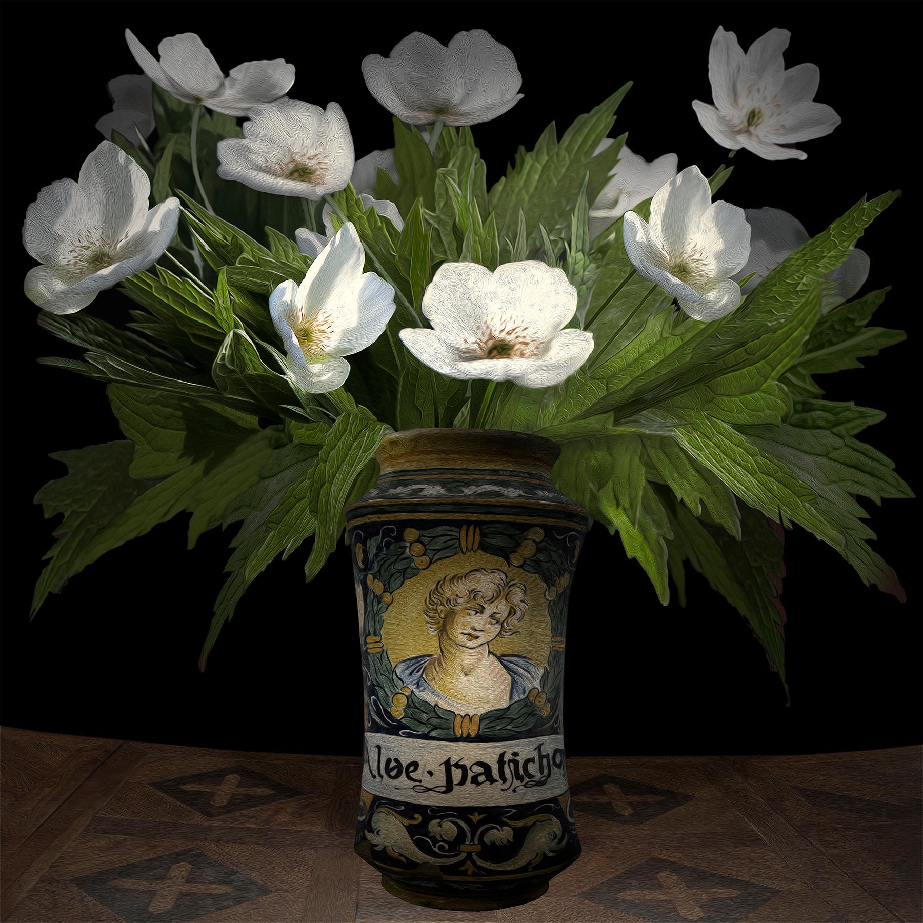 Still-Life Photograph T.M. Glass - Anémone Canadensis dans un récipient pharmaceutique italien