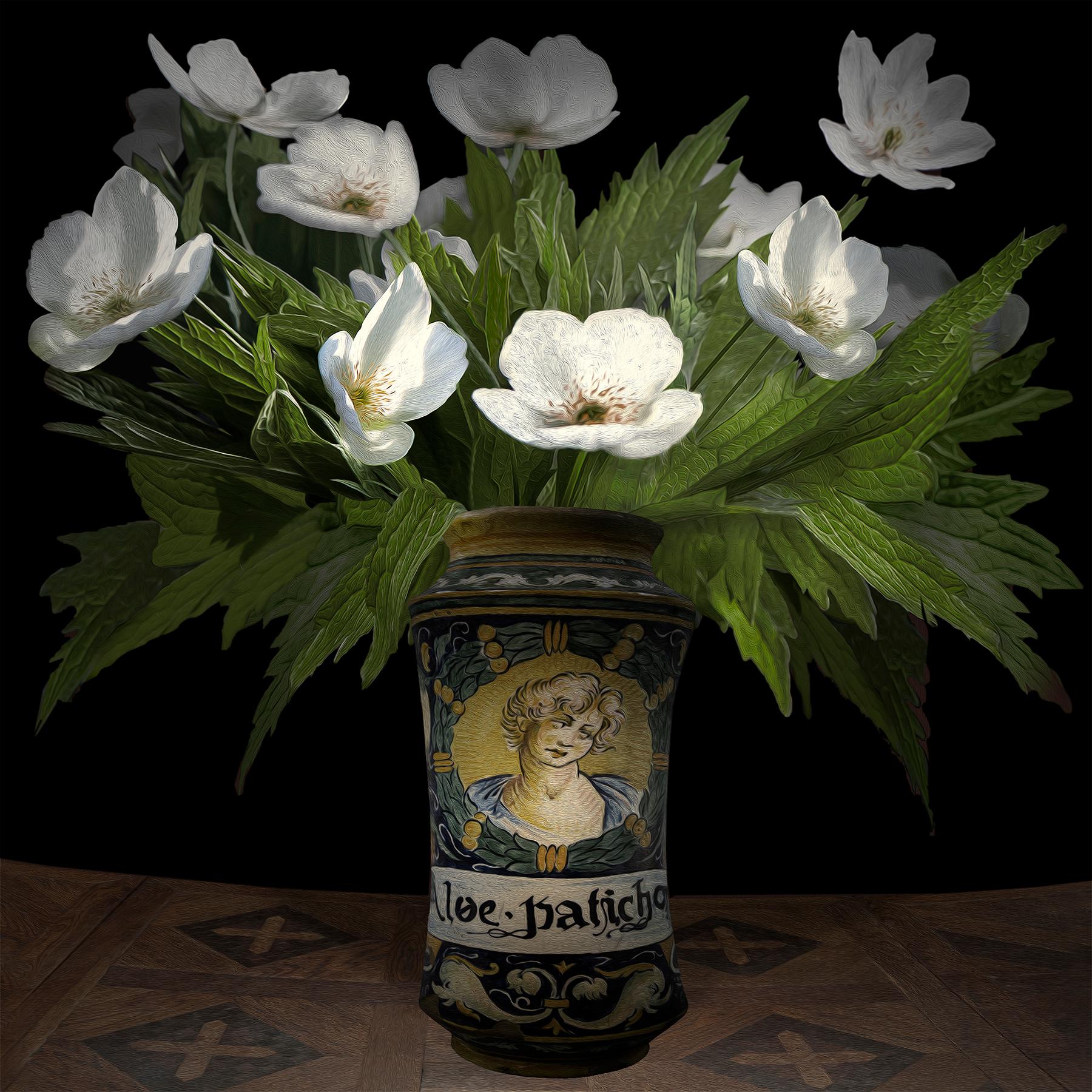 T.M. Glass Still-Life Photograph – Anemone Canadensis in einem italienischen Pharmaceutical Gefäß