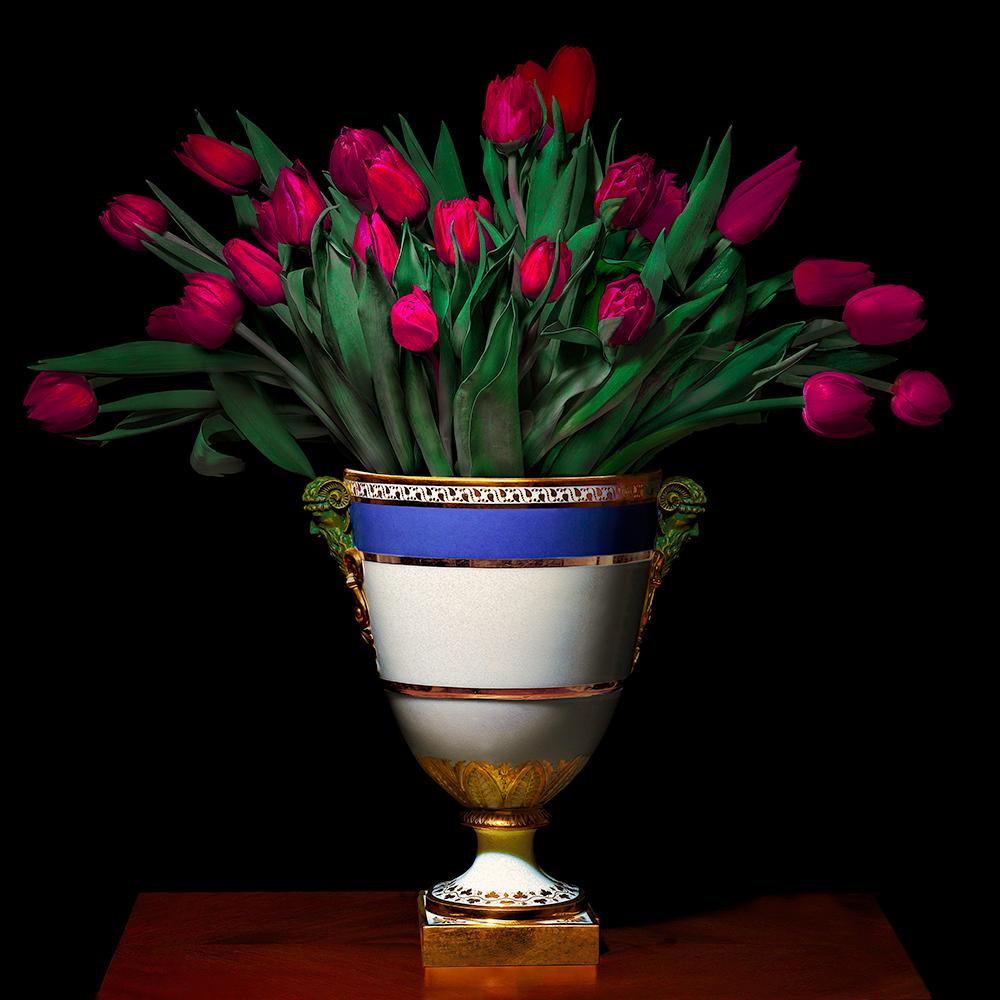 T.M. Glass Color Photograph - Tulips in a Blue, White and Gold Vessel