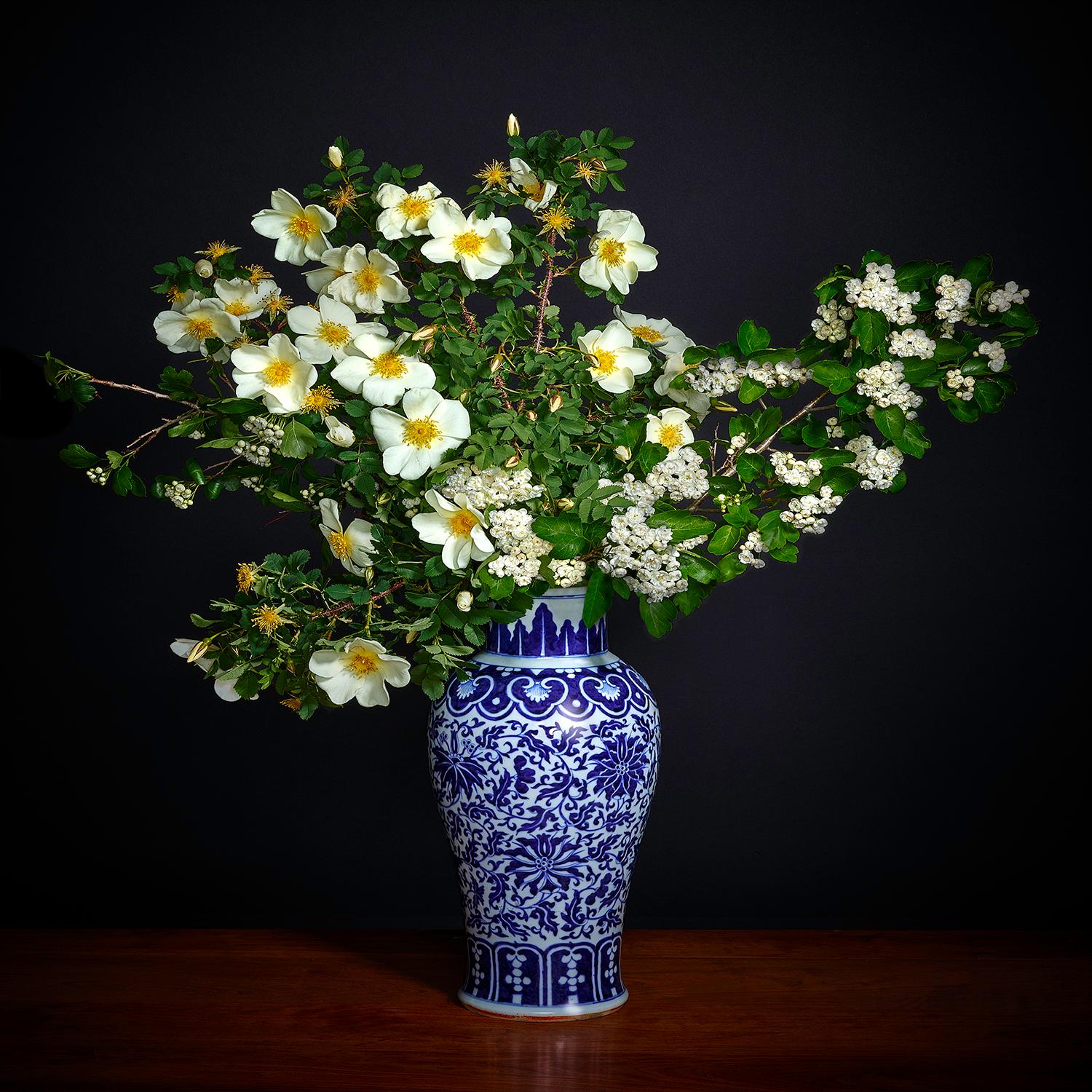 T.M. Glass Color Photograph – Weiße weiße Hawthorne- und weiße Shrub-Rose in einer blauen und weißen chinesischen Vase