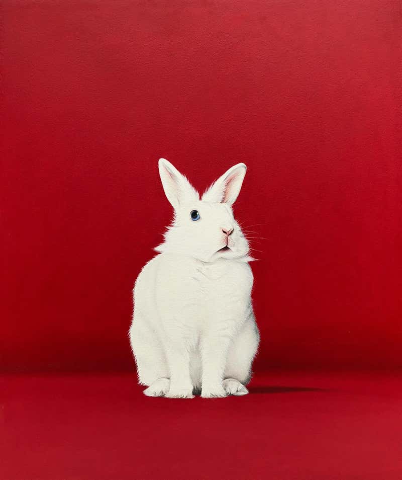 Paul Urzica - White Rabbit Red For Sale at 1stDibs | alexander volkov ...
