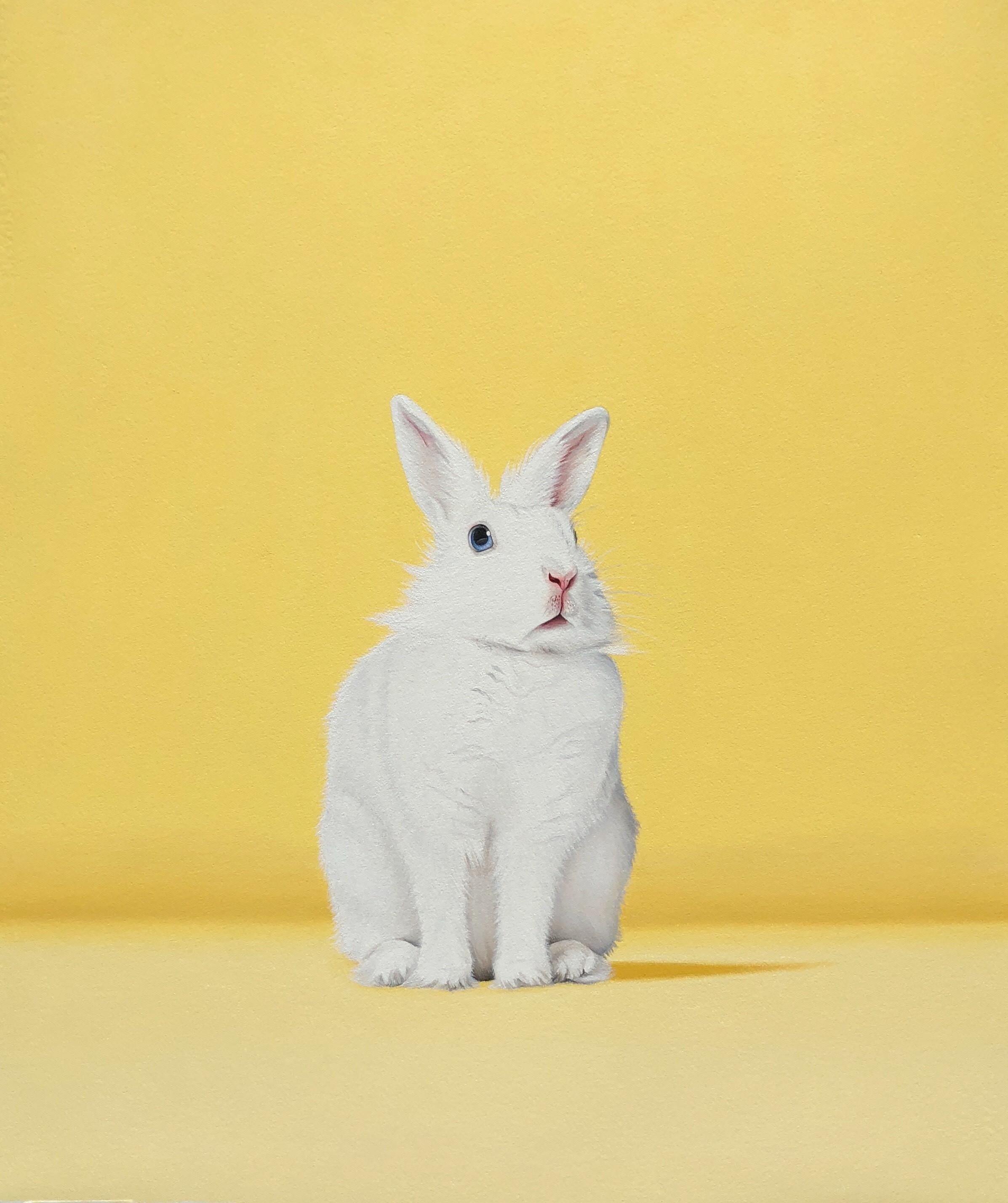 White Rabbit Yellow