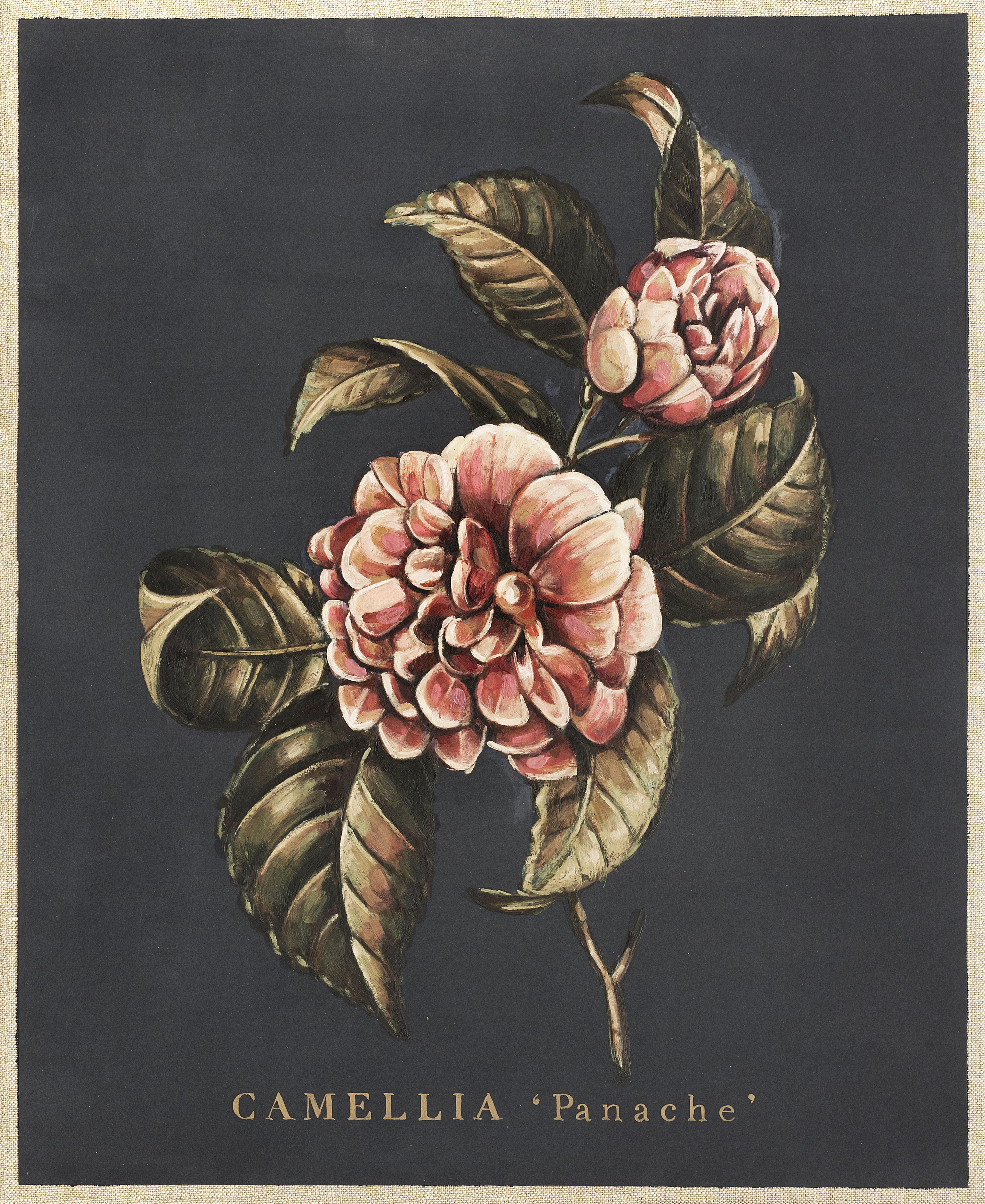 Jacques Payette Animal Painting - CAMELLIA Panache