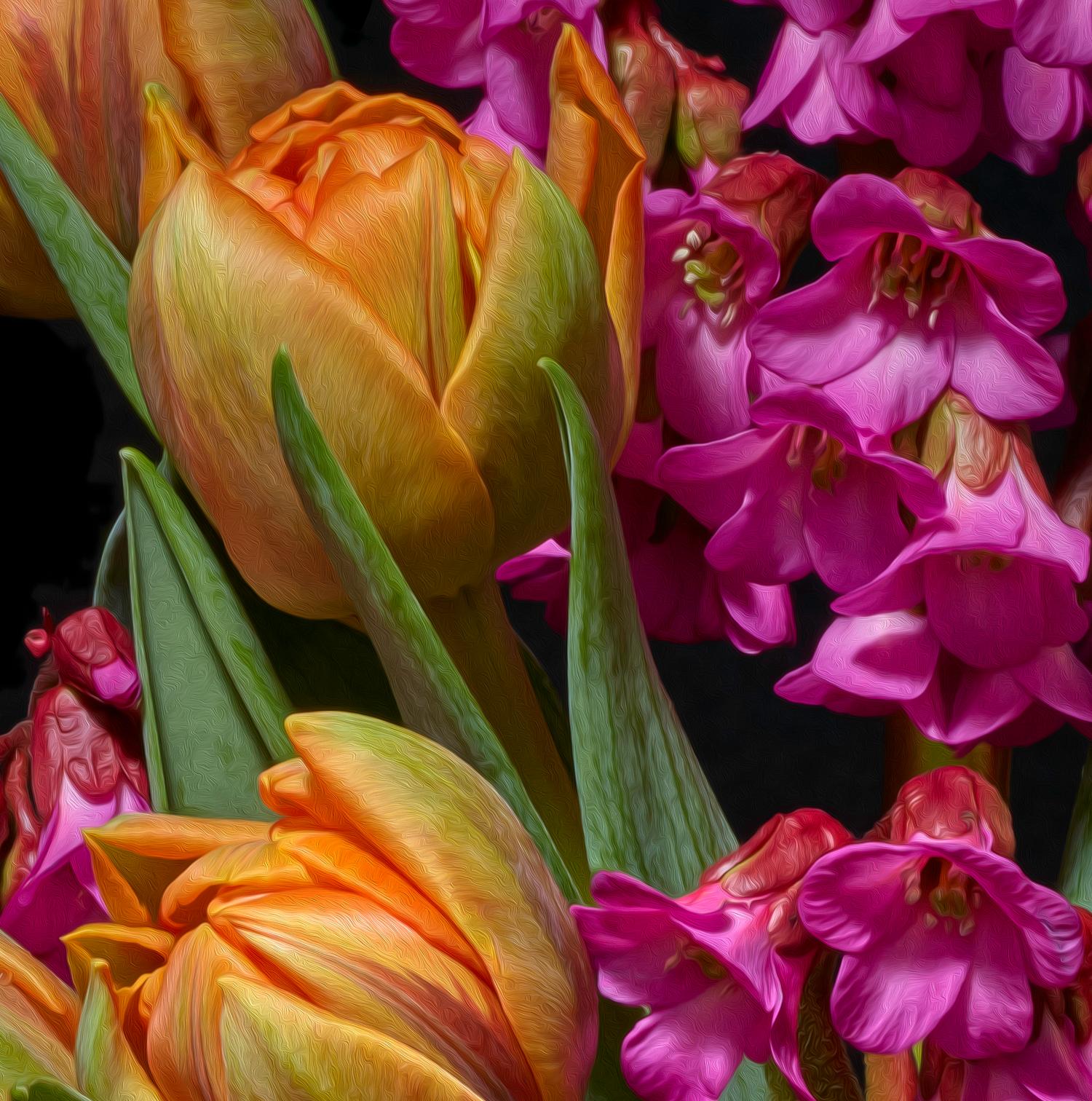 T.M. Glass Still-Life Photograph - Azaleas and Tulips