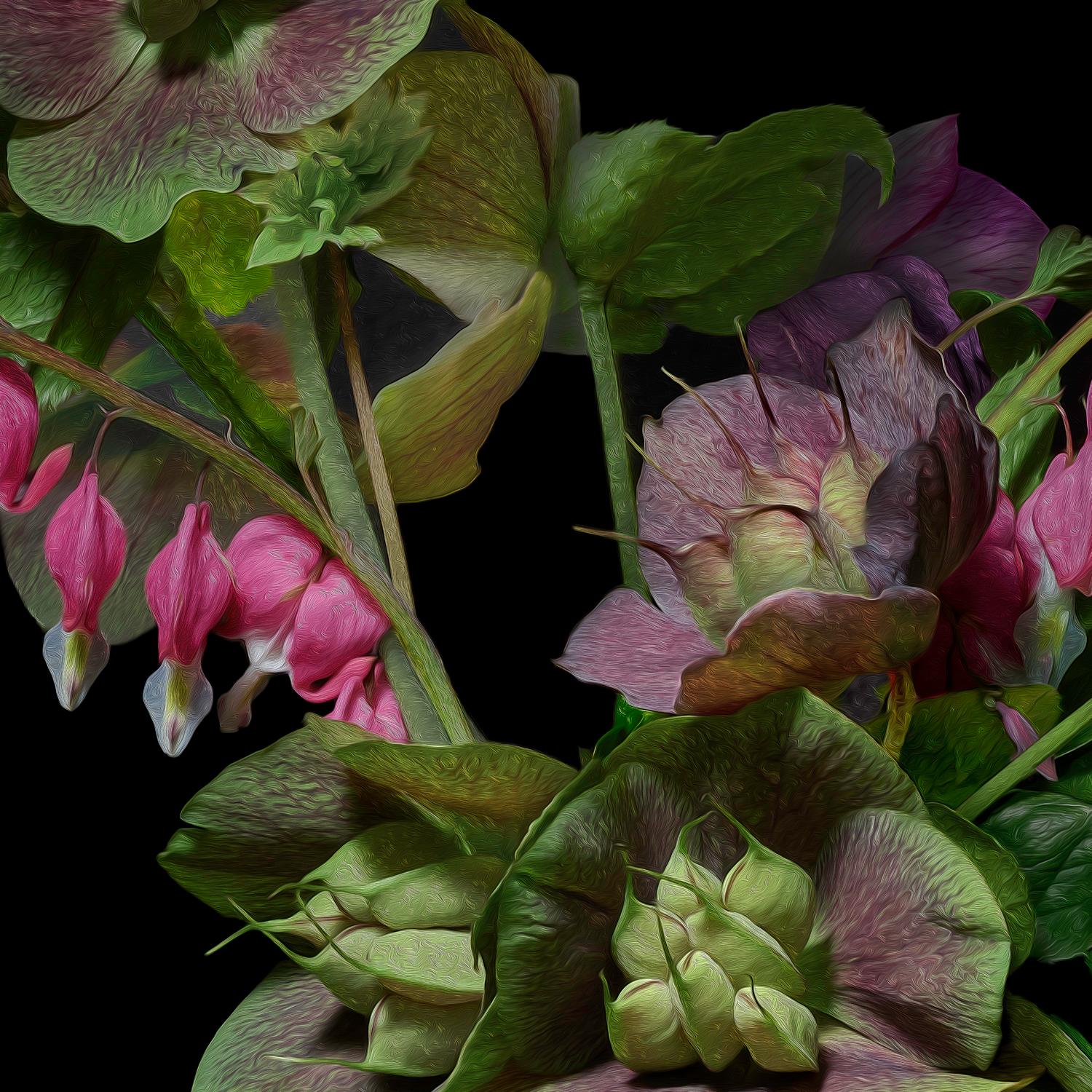 Color Photograph T.M. Glass - Hellebores - Hellebores