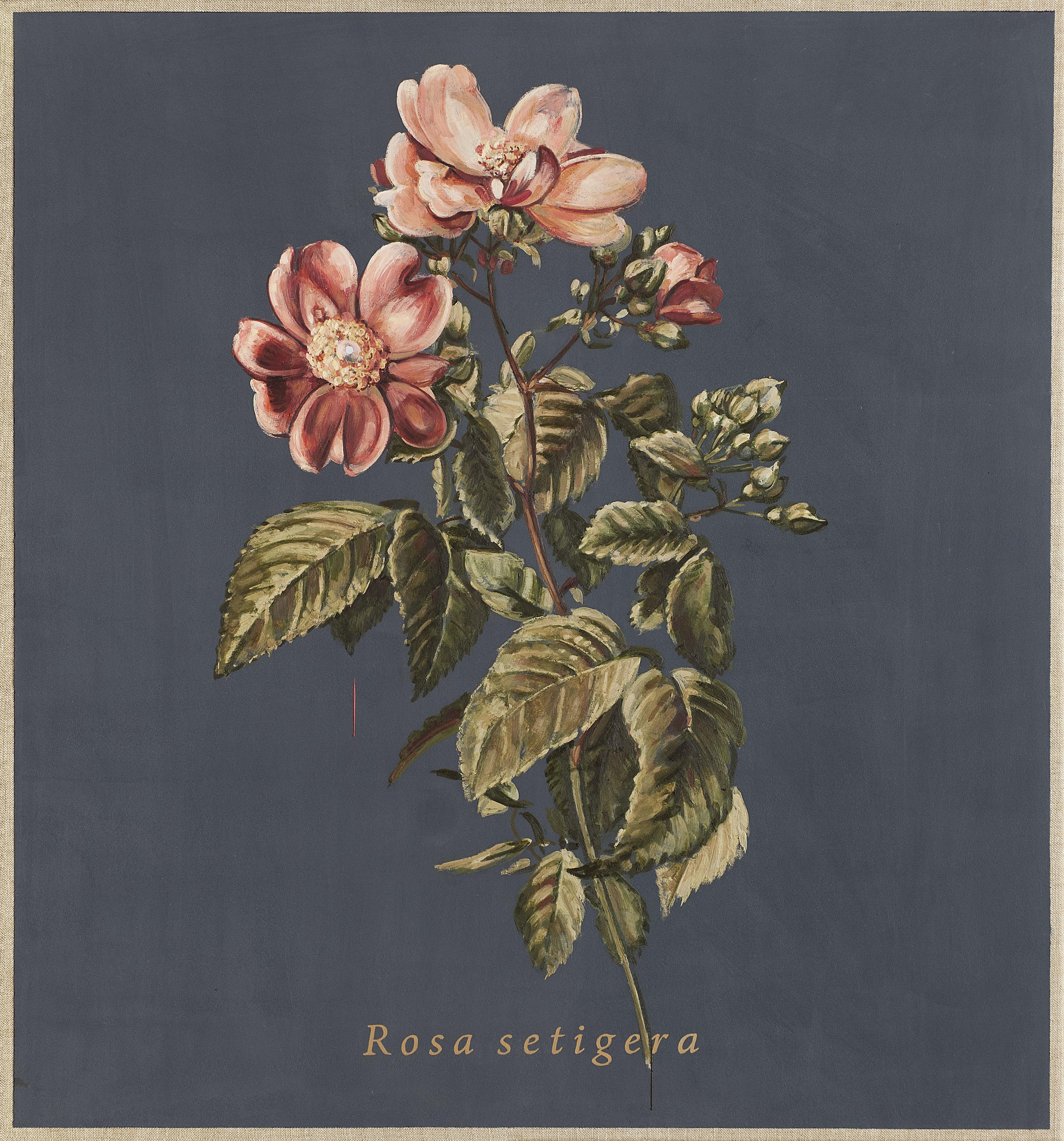 Jacques Payette Still-Life Painting - Rosa setigera