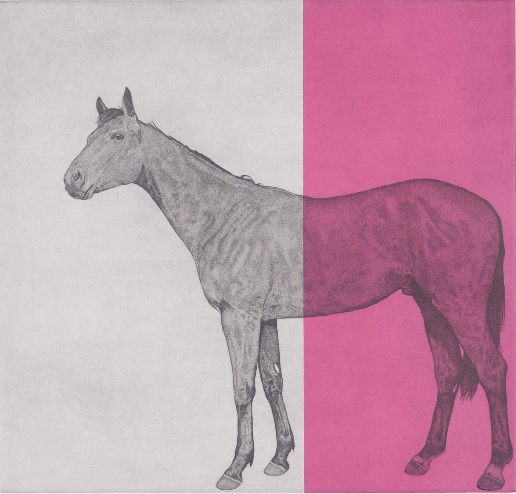 contemporary animal drawings