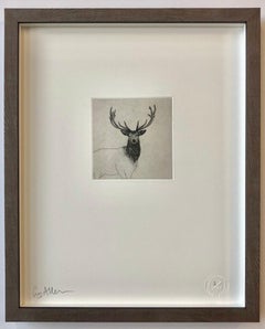 Highland Stag Study - Contemporary Animal Drawing by Guy Allen