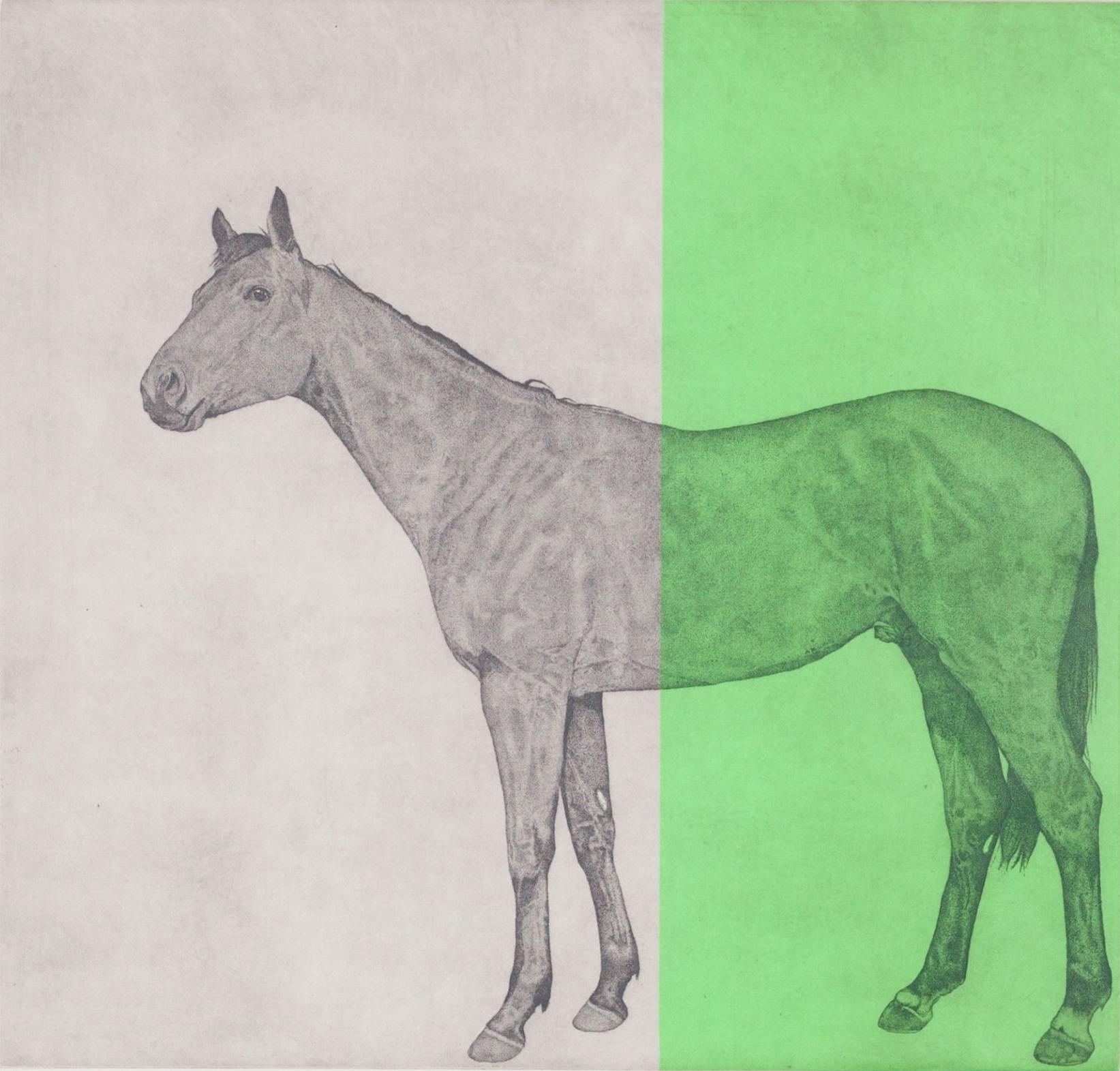 green animal drawing