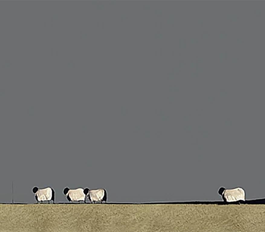Signed Limited Edition Print of 195

Ron Lawson is widely regarded as Scotland’s most original and distinctive contemporary landscape painter. His unique and instantly recognisable style was met with an extraordinary response throughout the UK and