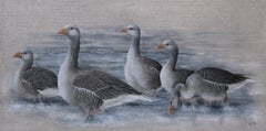 Grey Lag Geese - Realistic Painting by Helen Welsh