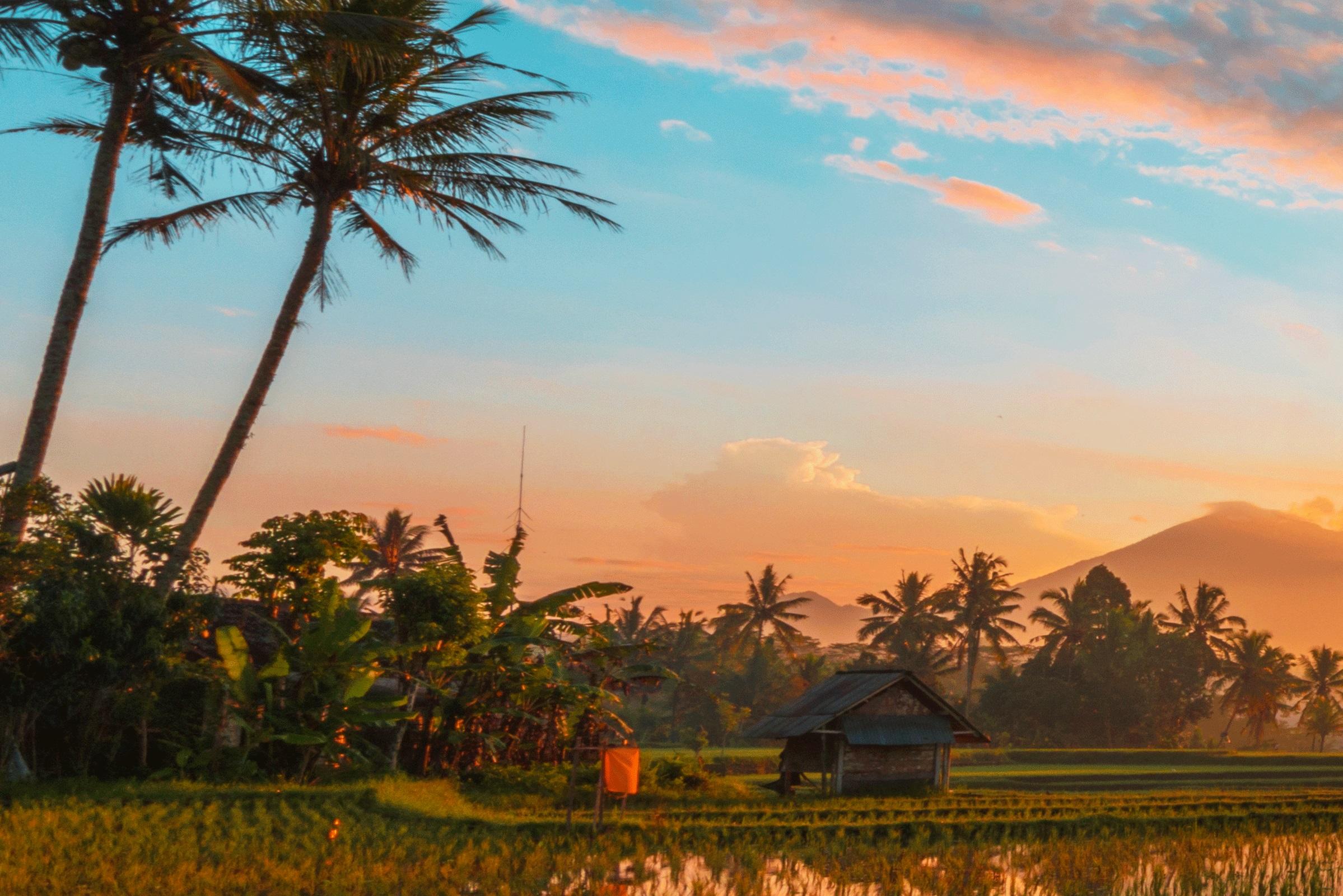 Bali, Asia - Photography Dibond Travel  Landscape Nature Ricefield Sunset Colour - Gray Landscape Photograph by KiLynn (Ki) Tan