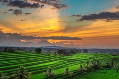 Bali, Asia - Photography Travel Nature Landscape Ricefield Sunset Colour Dibond