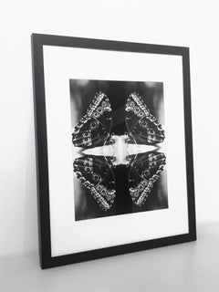 Papiliones No 4, Black and White, Photography, Butterfly Photography, Signed