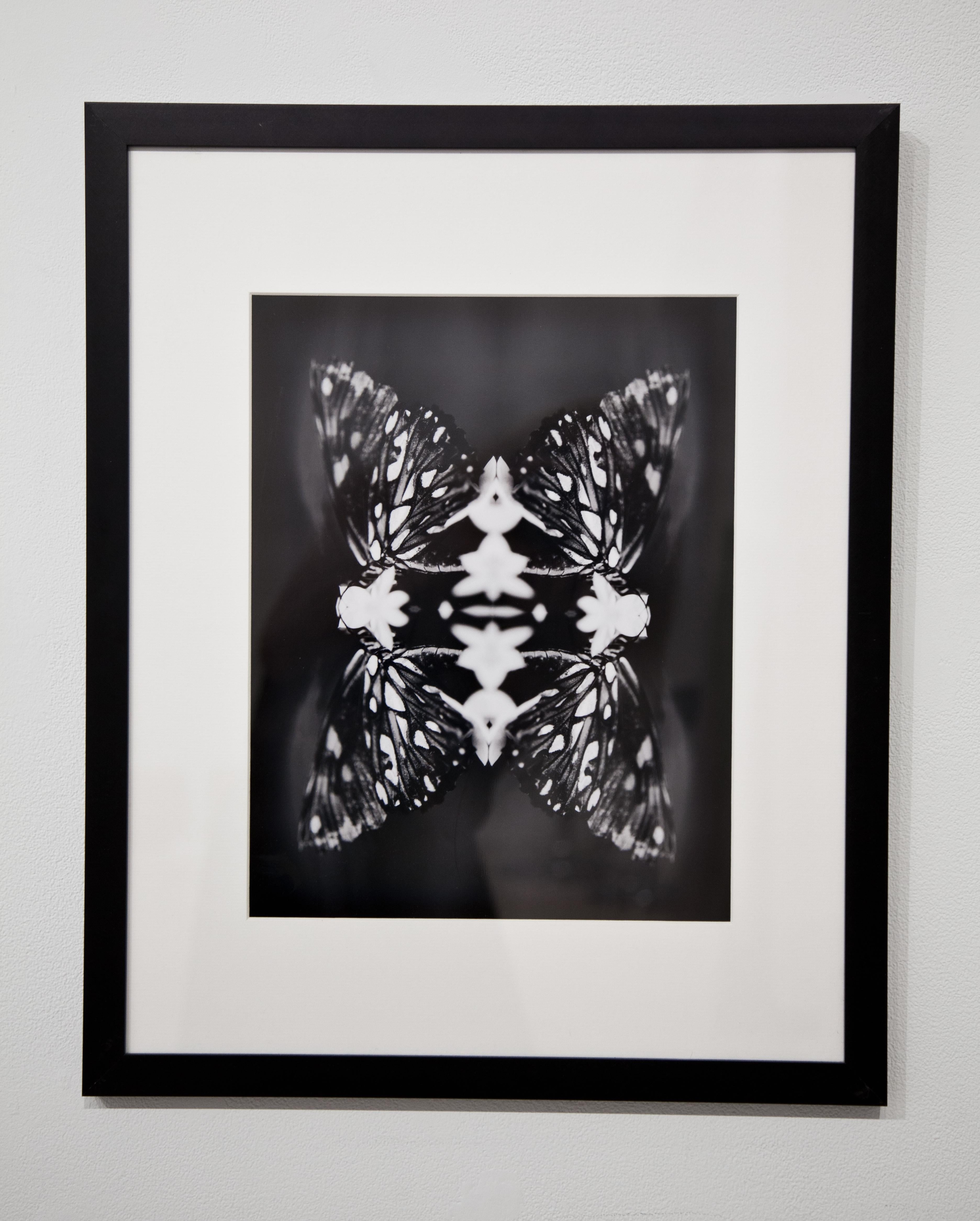 Papiliones No 9, Photography, Black and White, Butterfly, Signed, Framed For Sale 1