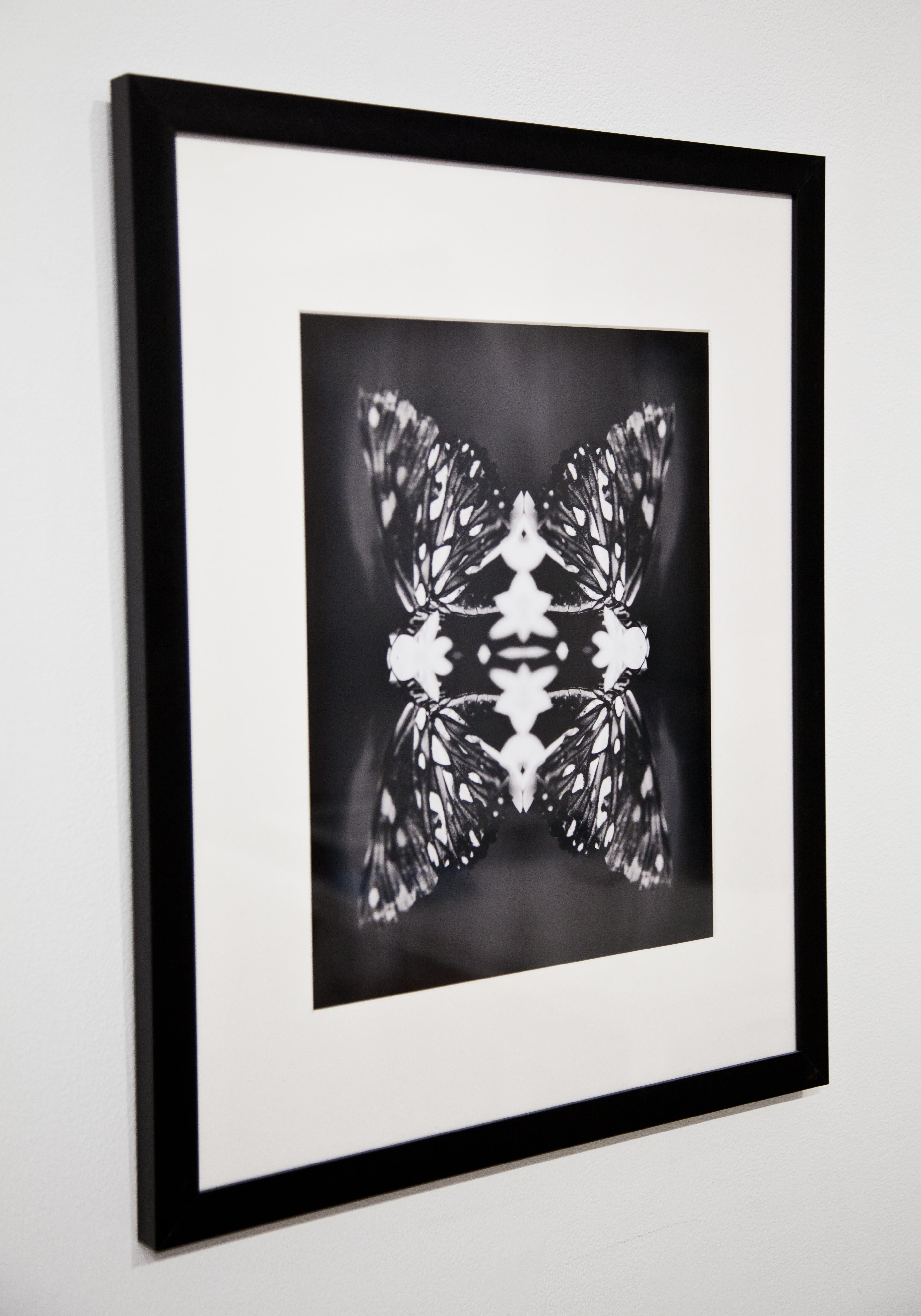 Papiliones No 9, Photography, Black and White, Butterfly, Signed, Framed For Sale 2