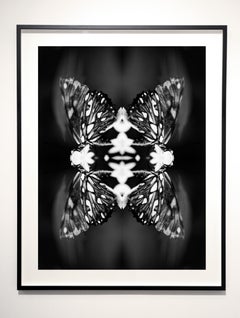Papiliones No 9, Photography, Black and White, Butterfly, Signed, Framed