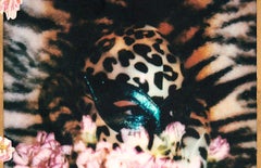 Pink Carnations, Photography, Antique Photo Print, Victorian, Framed, Signed